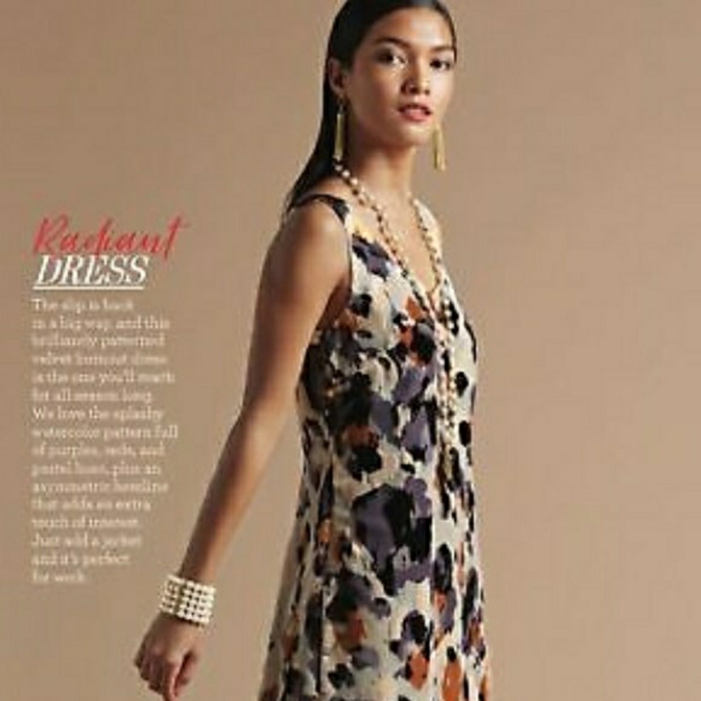 2018 Holiday Release Velvet Burnout Dress